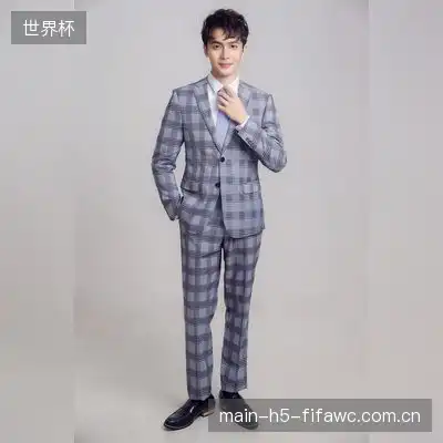 段泽霁